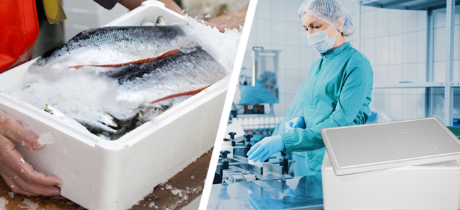 Milieubild_Styroporboxen_Fischmarkt_Pharma