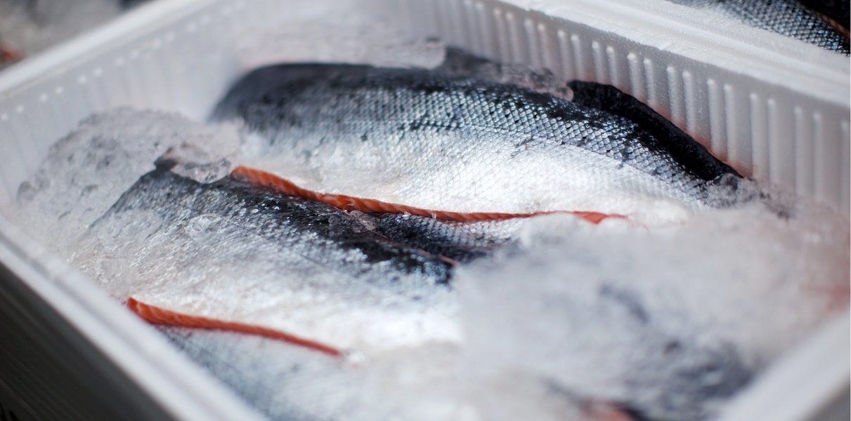 Thermobox mit Lachs auf crashed ice Thermobox Milieubild Lachs